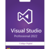 Visual studio professional 2022
