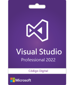 Visual studio professional 2022